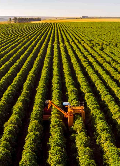 Agro