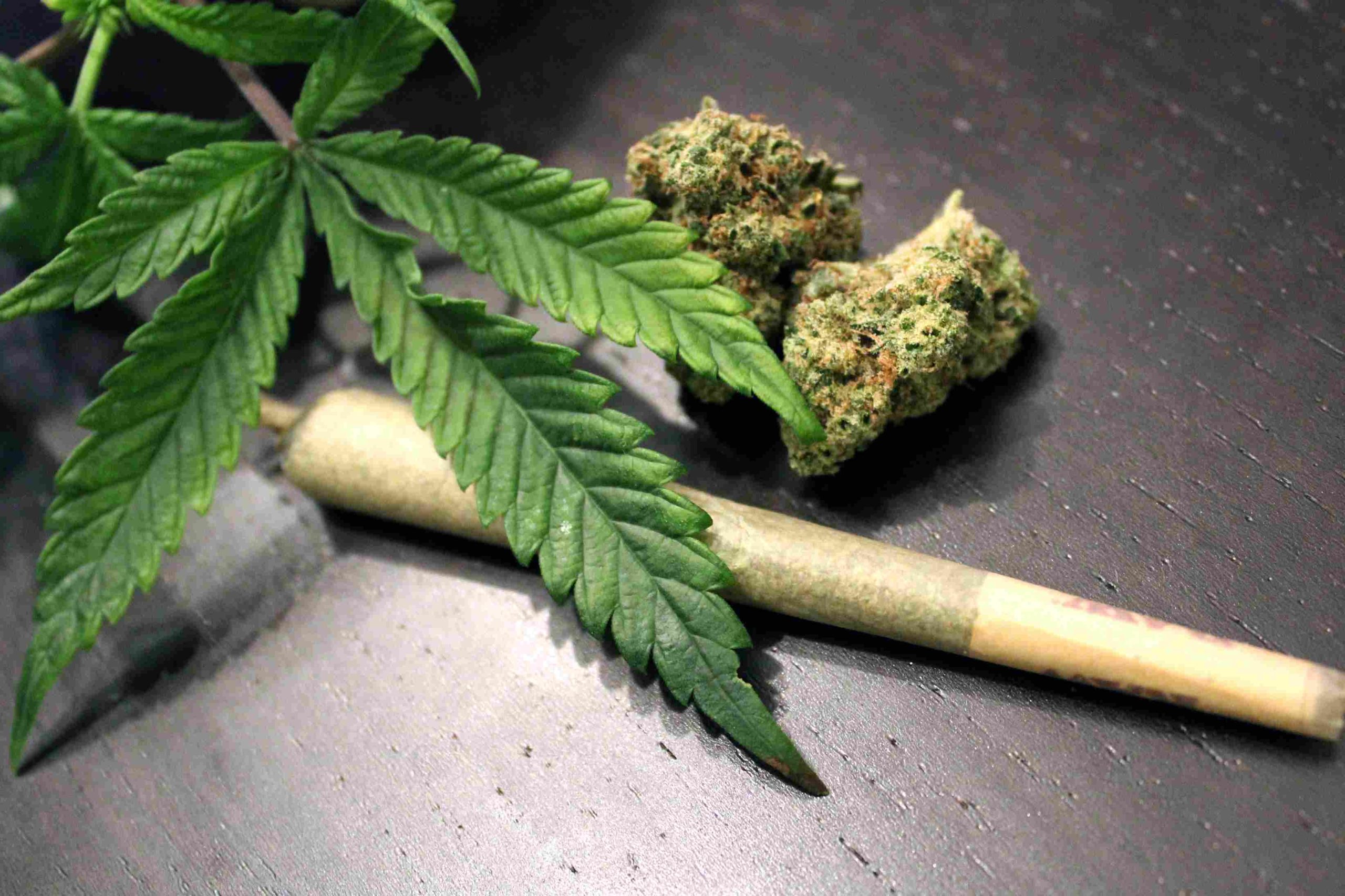 CNJ inicia mutirão que vai soltar presos por porte de maconha