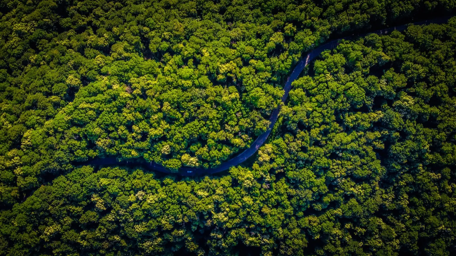 Amazônia representa 90% da área queimada no Brasil no 1º bimestre de 2023