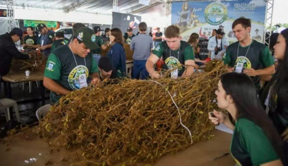 Laguna Carapã realiza o 25º Concurso Pé de Soja e comemora investimentos em infraestrutura