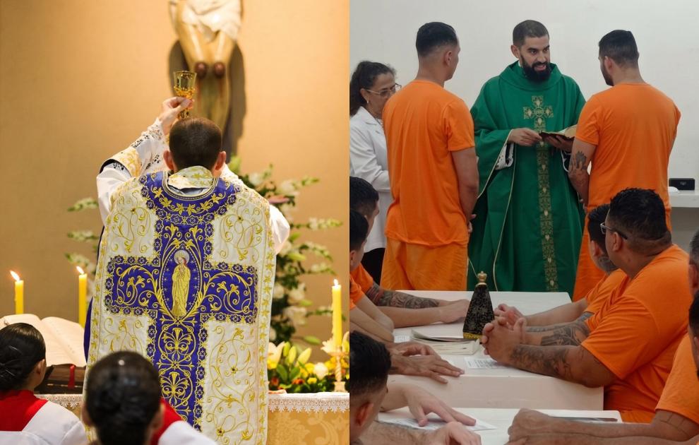 A doutrina não se rende às urnas