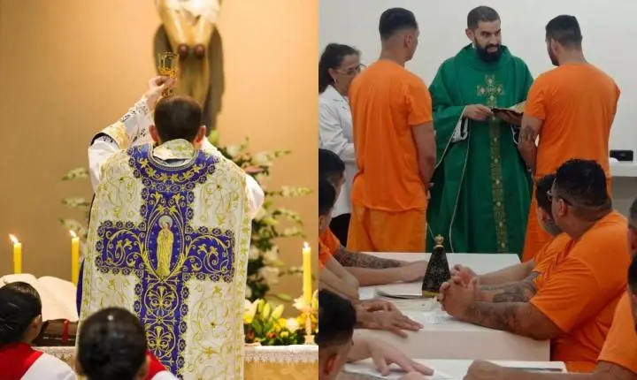A doutrina não se rende às urnas